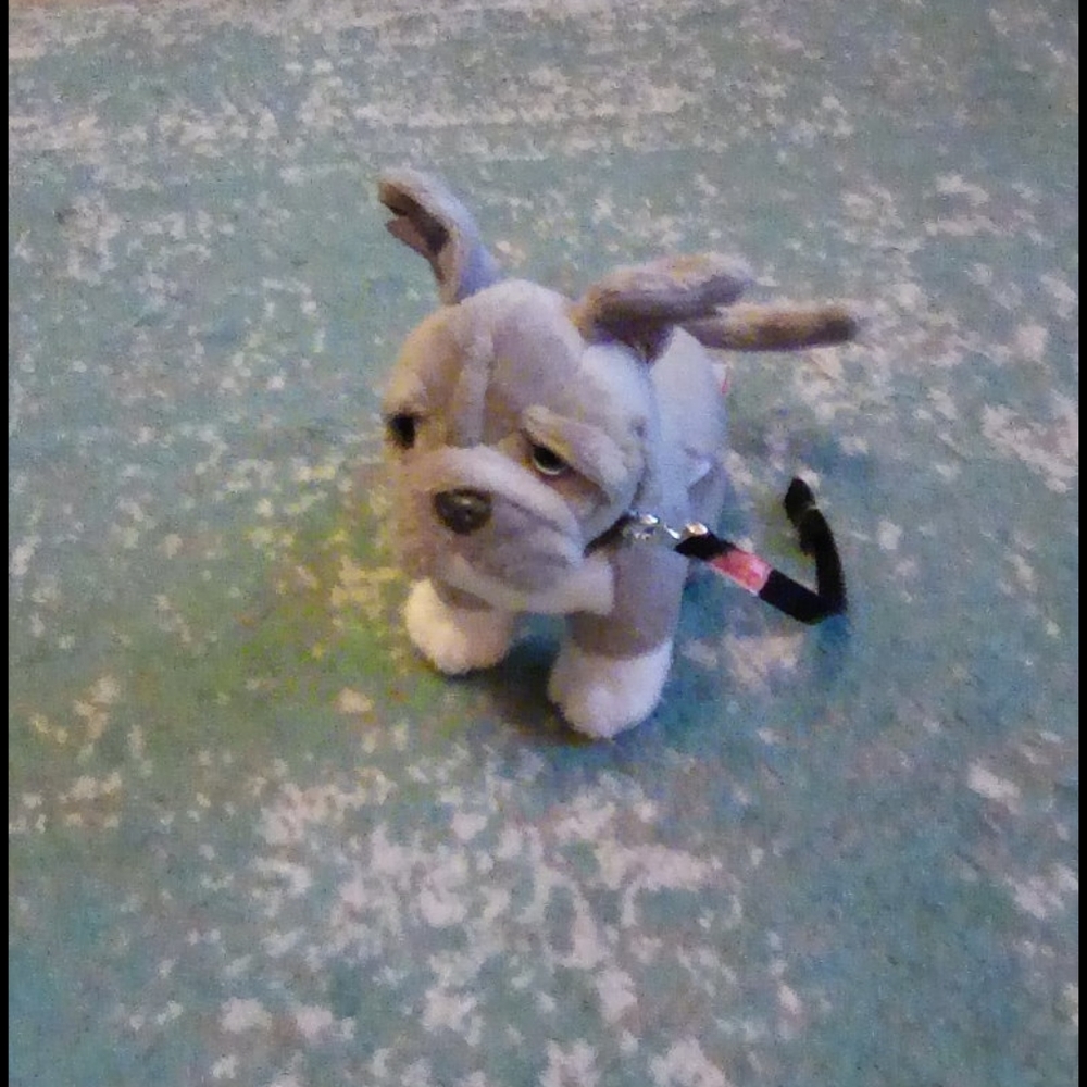 Cute dog plush